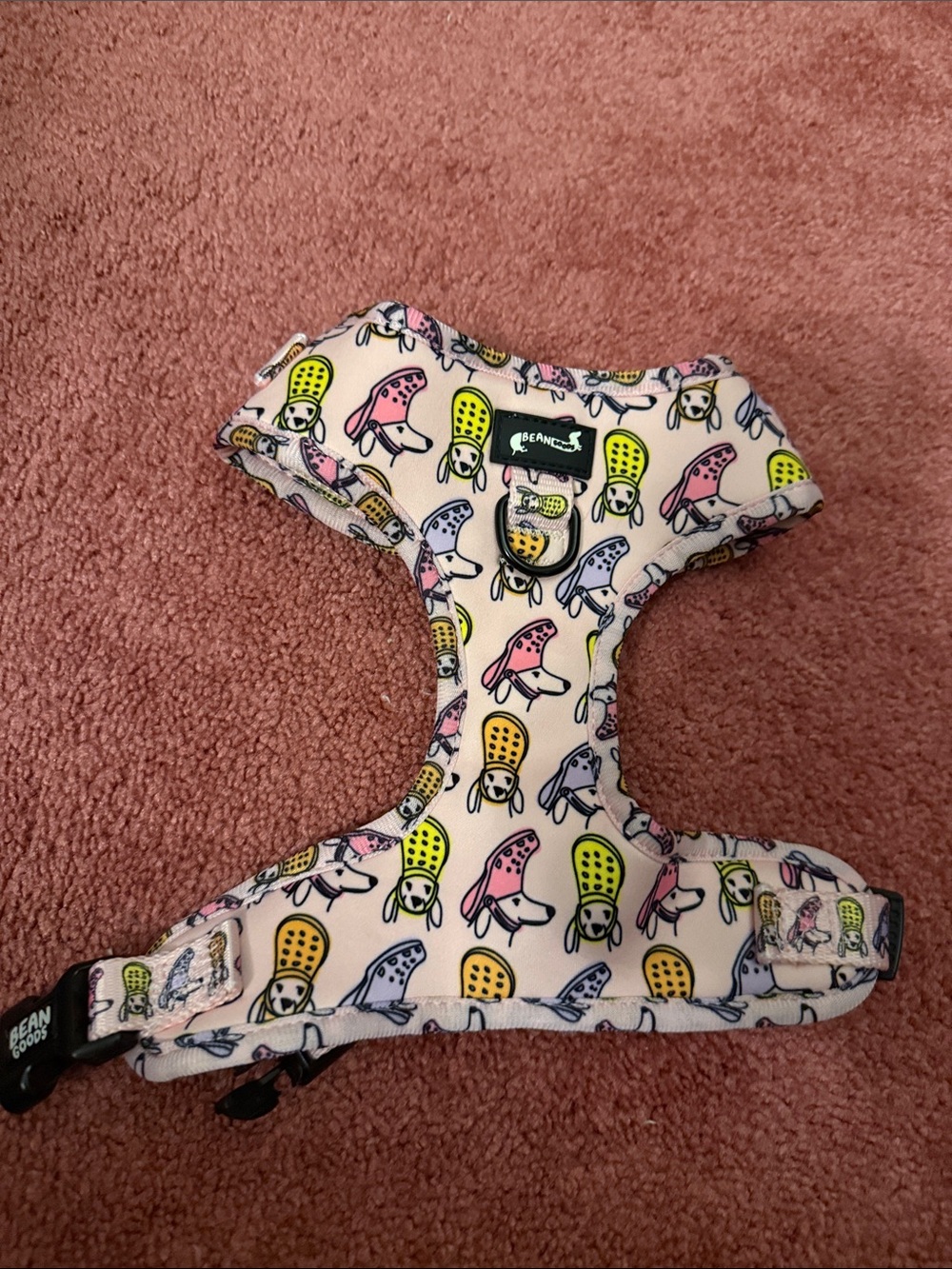 Bean Goods Doxie in a Croc Harness size small